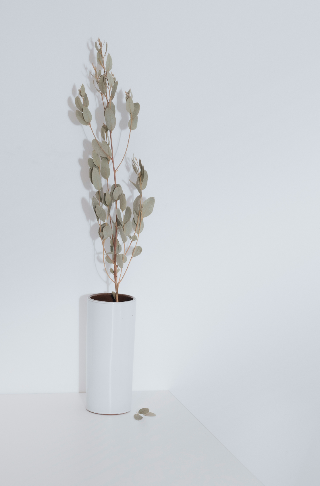 Sand Fog Eucalyptus Spearmint 100 ml Reed Diffuser - Image 3